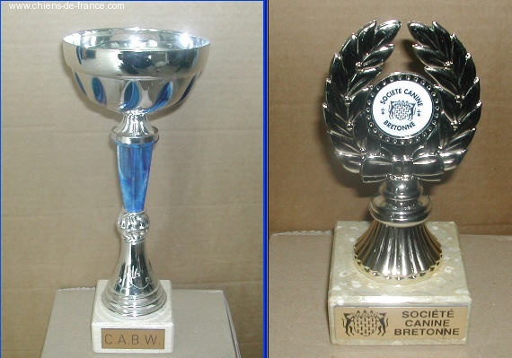 TR. CH. Bouxy dit bouskho-brennus des Gris de Pauline - Très Prometteur