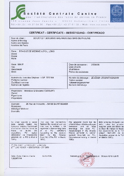 TR. CH. Bouxy dit bouskho-brennus des Gris de Pauline - Autorisé CU
