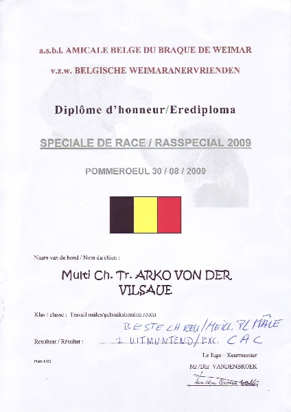TR. CH. Arko Von der Vilsaue - Excellent 1, CAC, Meilleur Mâle PL, Meilleur PL de Travail