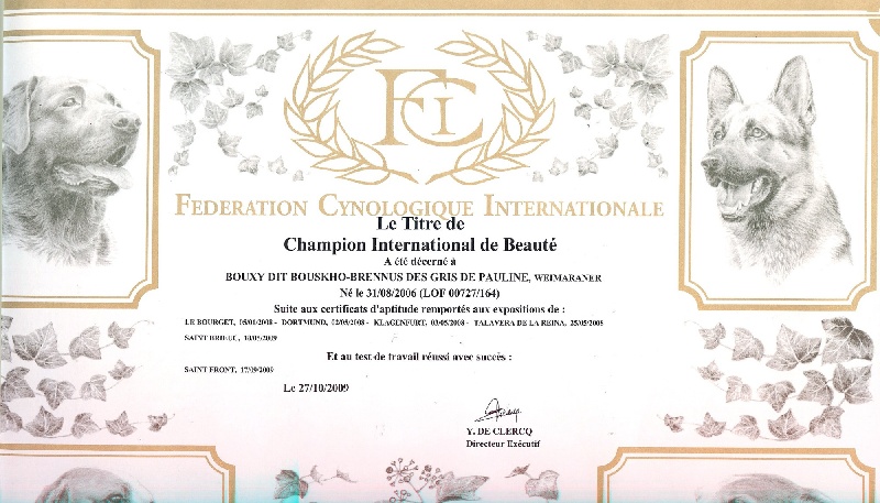 TR. CH. Bouxy dit bouskho-brennus des Gris de Pauline - C.I.B. Champion International de Beauté FCI