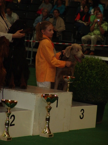 TR. CH. Arko Von der Vilsaue - 1er Rang +12 points . Total 73 points