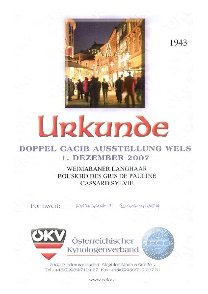 TR. CH. Bouxy dit bouskho-brennus des Gris de Pauline - Excellent 1, Meilleur Jeune