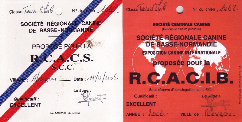 TR. CH. Arko Von der Vilsaue - Excellent 1, RCACS de Spéciale, RCACIB