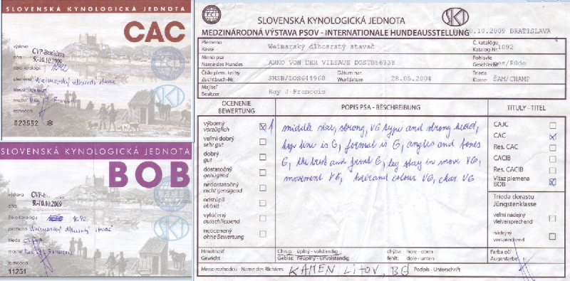 TR. CH. Arko Von der Vilsaue - Excellent 1, CAC, Meilleur de Race