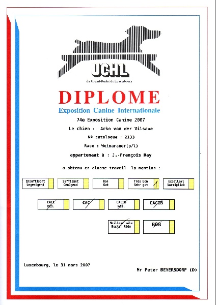 TR. CH. Arko Von der Vilsaue - Très Bon 1