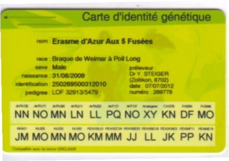 TR. CH. Arko Von der Vilsaue - Certification officielle