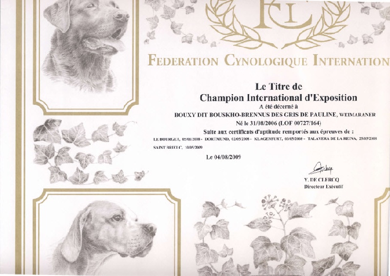 TR. CH. Bouxy dit bouskho-brennus des Gris de Pauline - C.I.E Champion International d'Exposition