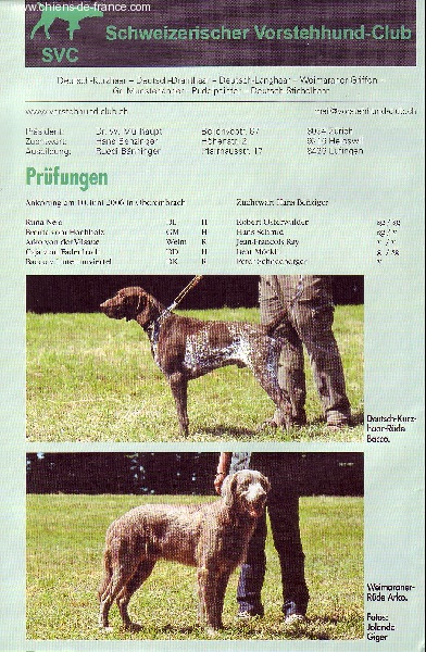 TR. CH. Arko Von der Vilsaue - Exc / Exc = Exc. Sélectionné & Recommandé en Suisse