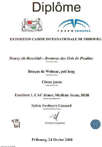 TR. CH. Bouxy dit bouskho-brennus des Gris de Pauline - Excellent 1, CAC-Jeune, Meilleur Jeune, Meilleur de sa Race