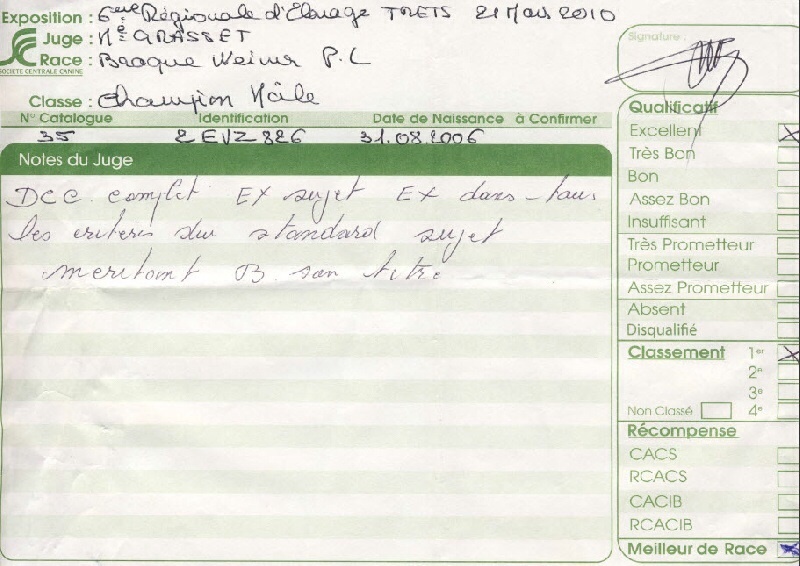 TR. CH. Bouxy dit bouskho-brennus des Gris de Pauline - BiS2, Excellent 1 Meilleur de sa Race