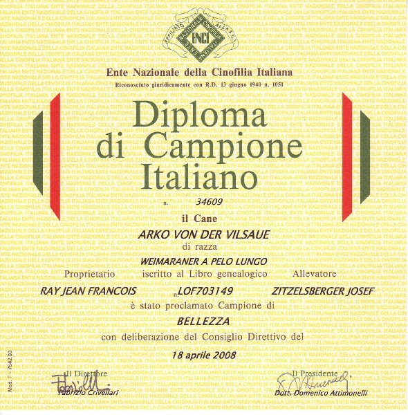 TR. CH. Arko Von der Vilsaue - Champione Italiano di Bellezza (No:34609)