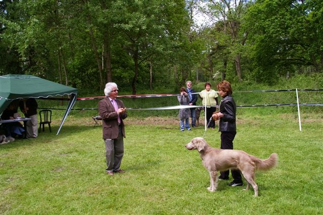 TR. CH. Arko Von der Vilsaue - Excellent 1, Champion de France NE, FRW-09