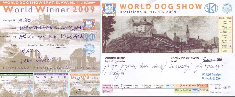 TR. CH. Arko Von der Vilsaue - Excellent 1, CAC, CACIB, CHAMPION du MONDE, Meilleur de Race