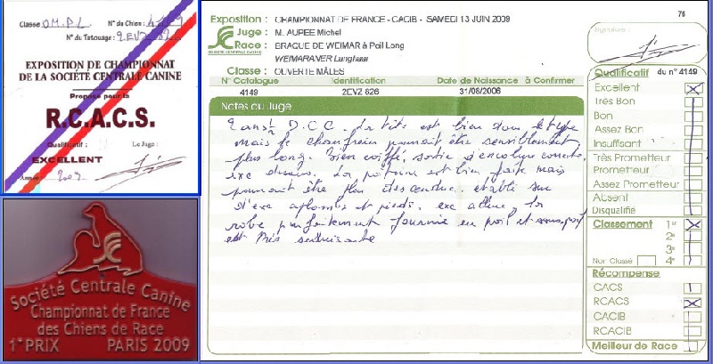 TR. CH. Bouxy dit bouskho-brennus des Gris de Pauline - Excellent 1, RCACS, Vice-Champion de France VcFRW-09