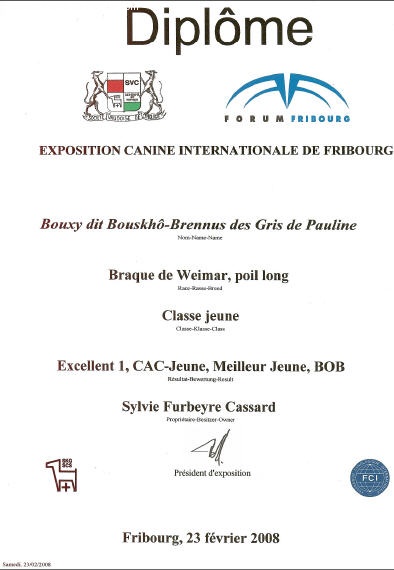 TR. CH. Bouxy dit bouskho-brennus des Gris de Pauline - Excellent 1, CAC-Jeune, Meilleur Jeune, Meilleur de sa Race