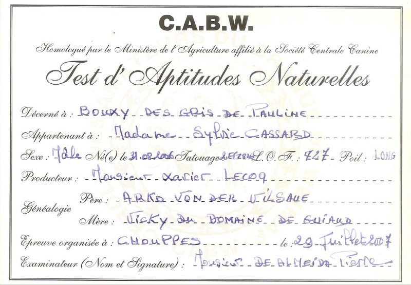 TR. CH. Bouxy dit bouskho-brennus des Gris de Pauline - Admis au TAN