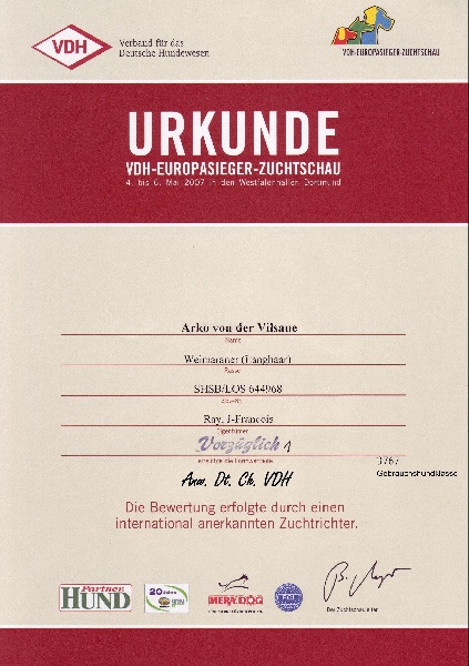 TR. CH. Arko Von der Vilsaue - Vice-Champion d'Europe VDH, Exc 1, Double CACS de Championnat