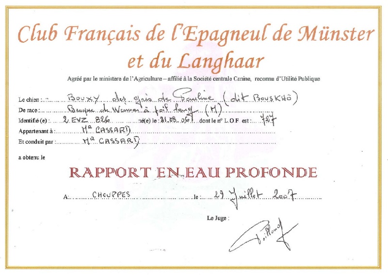 TR. CH. Bouxy dit bouskho-brennus des Gris de Pauline - Admis au Rapport en Eau Profonde