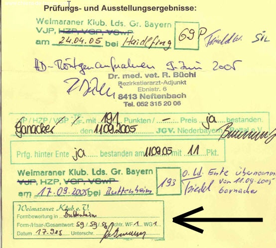 TR. CH. Arko Von der Vilsaue - Apte Excellent