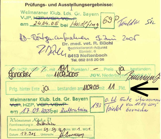 TR. CH. Arko Von der Vilsaue - 11 Points BCE de Catégorie I