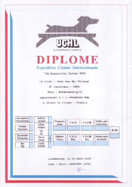 TR. CH. Arko Von der Vilsaue - Très Bon 1