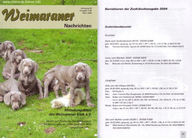 TR. CH. Arko Von der Vilsaue - Très Bon / Très Bon = Très Bon, Sélectionné & Recommandé en Allemagne