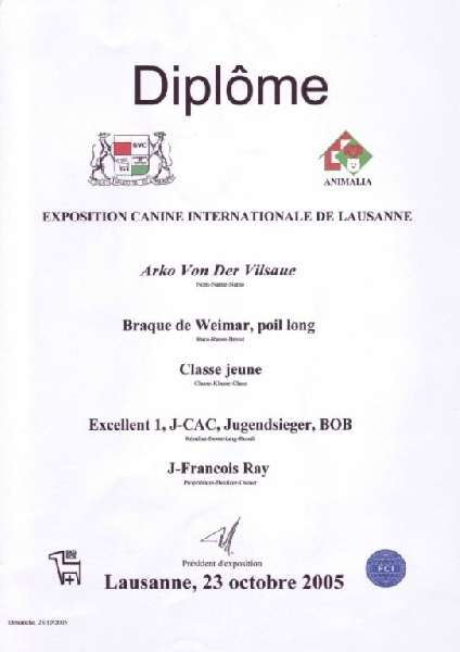 TR. CH. Arko Von der Vilsaue - Excellent 1, C.A.C.-Jeune, Meilleur Jeune,Meilleur de sa Race
