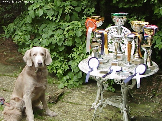 TR. CH. Arko Von der Vilsaue - Sans Qualification