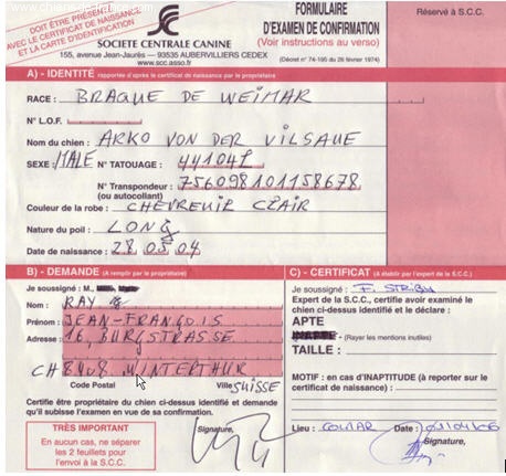 TR. CH. Arko Von der Vilsaue - Confirmé / Apte = Excellent