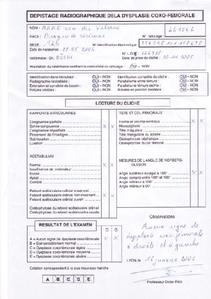 TR. CH. Arko Von der Vilsaue - Diagnose dysplasie : AA