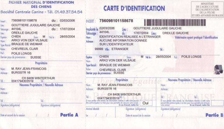 TR. CH. Arko Von der Vilsaue - Enregistré à Titre de l' Importation