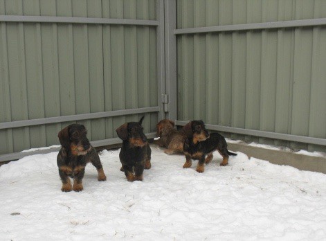 Publication : Kobeddus Auteur : source Kobeddus