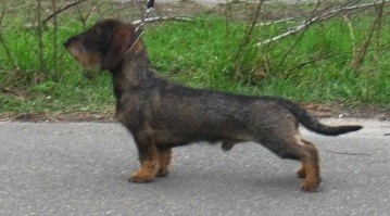 Publication : Kobeddus