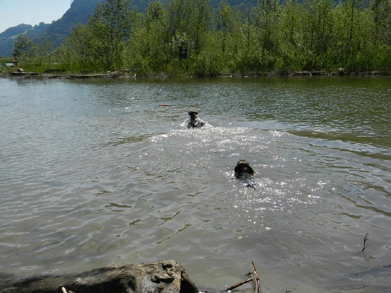 Publication : Kobeddus