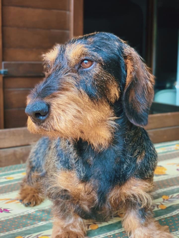 Publication : Kobeddus