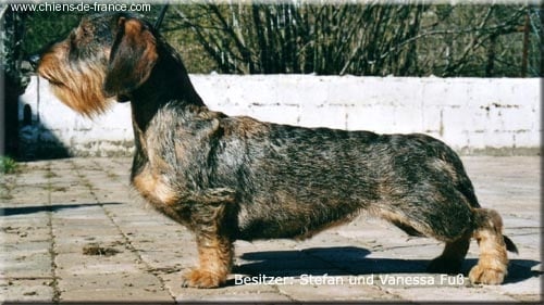 CH. Dip Von den zweien