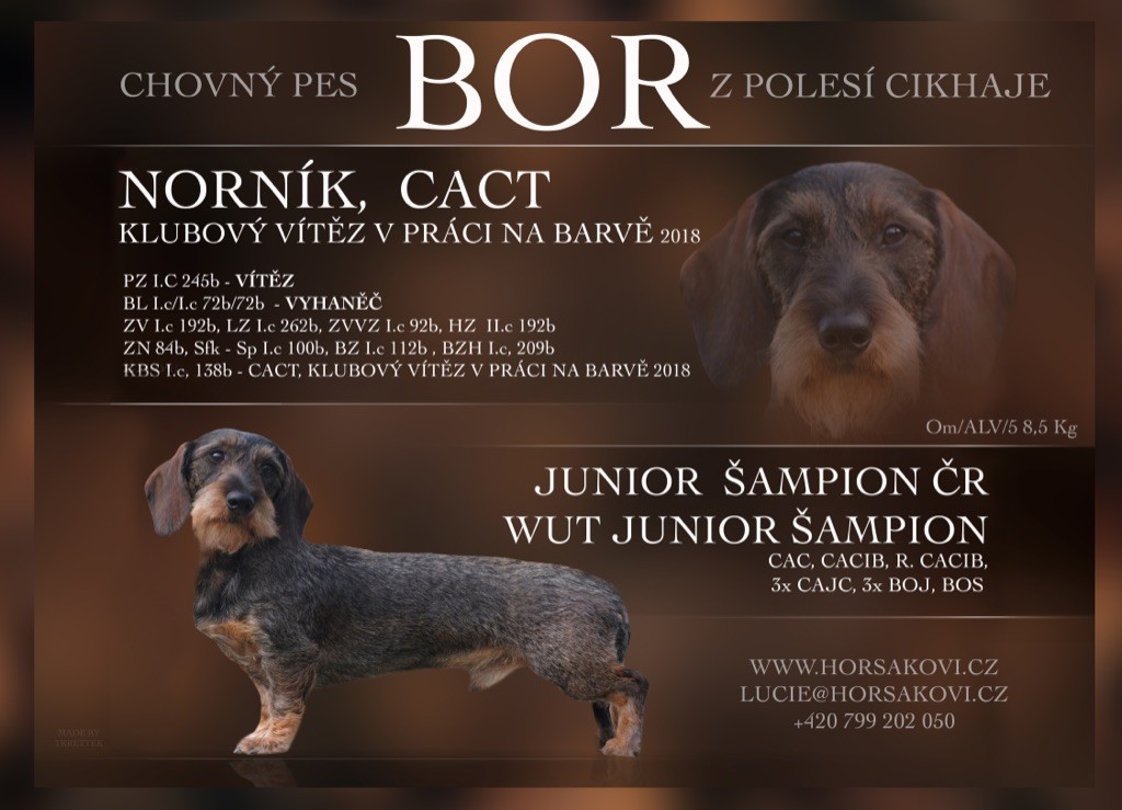 Publication : Kobeddus