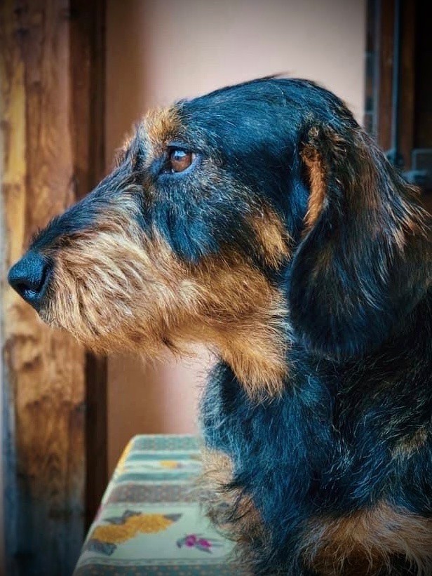 Publication : Kobeddus