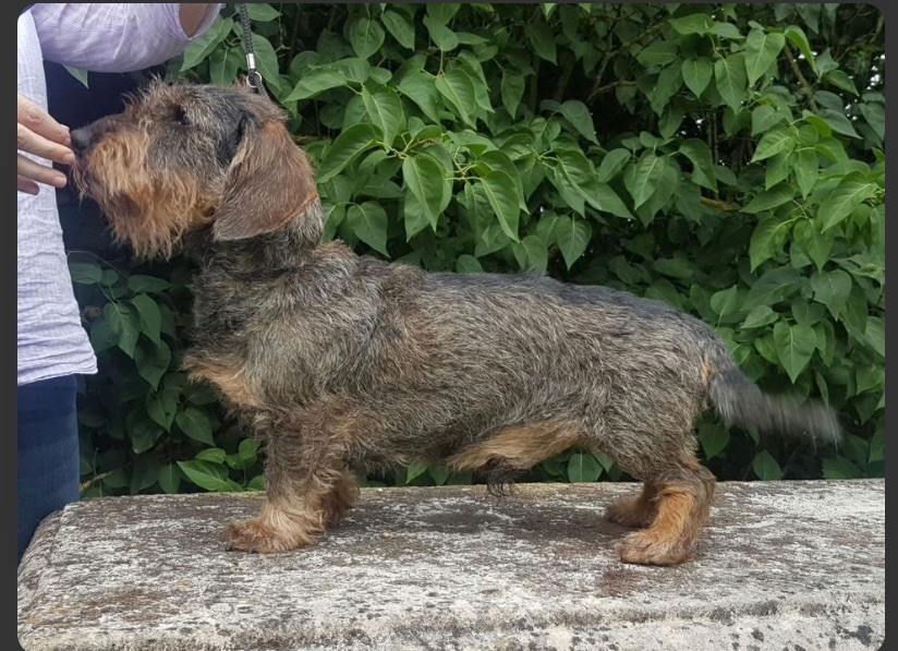 Publication : de la Fuye