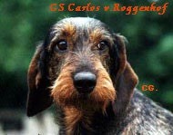 Publication : Kobeddus Auteur : Caroline Geerts