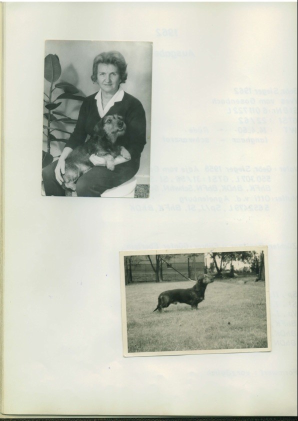 Publication : Kobeddus Auteur : Stammbuch 1963, source Kobeddus