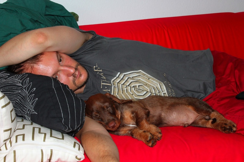 Publication : Kobeddus