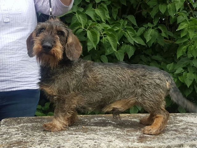 Publication : de la Fuye