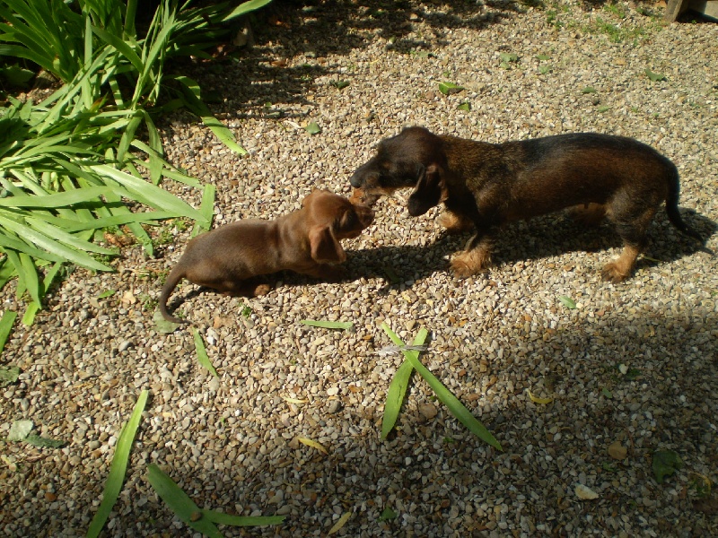 Publication : Kobeddus