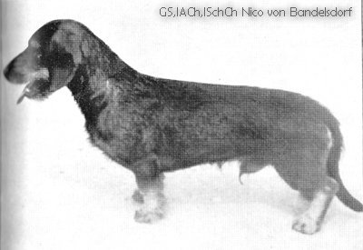 Publication : Kobeddus Auteur : source http://www.kobeddus.com