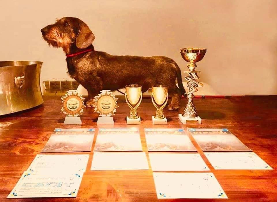 Publication : Kobeddus