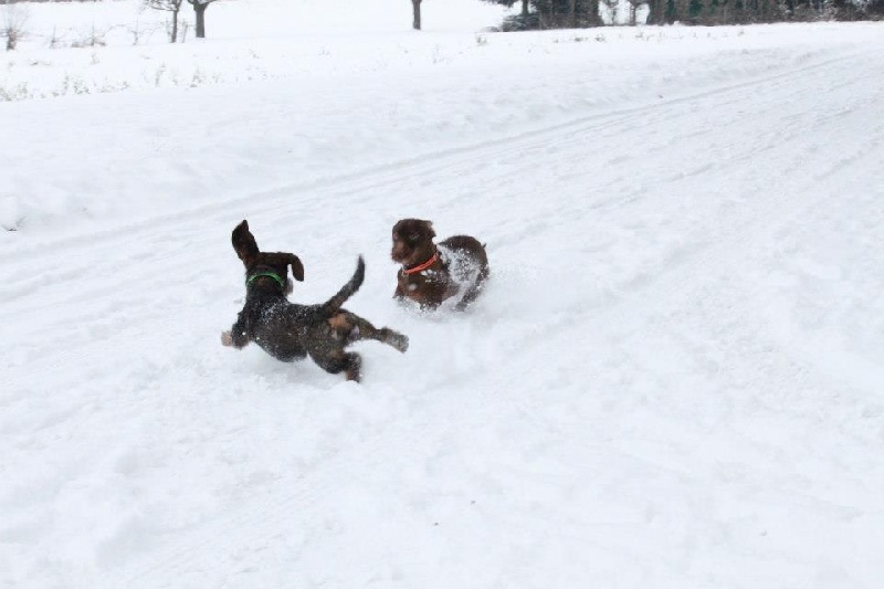 Publication : Kobeddus