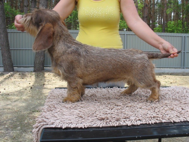 Publication : Kobeddus Auteur : source Kobeddus