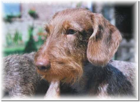 CH. Dip Von den zweien