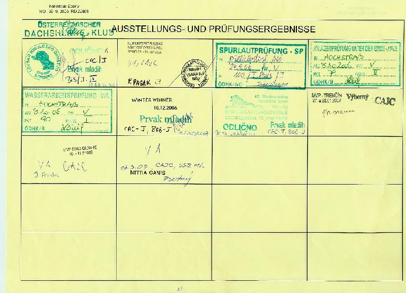 CH. Kobeddus Ebony - Exc.1 CAC/Jeune, et